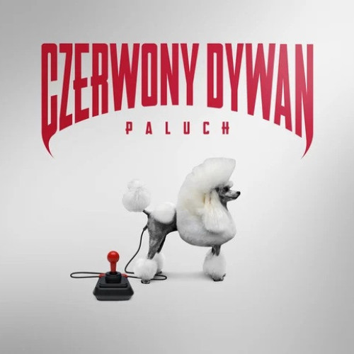 PALUCH - CZERWONY DYWAN