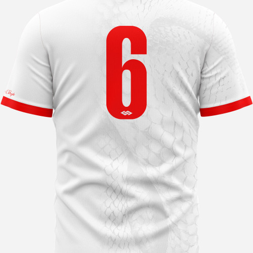 FOOTBALL JERSEY WHITE/RED