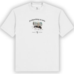 PREORDER T-SHIRT OVER MRÓWKI